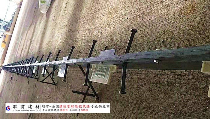 惠州市铠甲缝施工案例